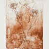Cathrine-Raben-Davidsen-Hemlock-Seed-(Siena)-75x58cm