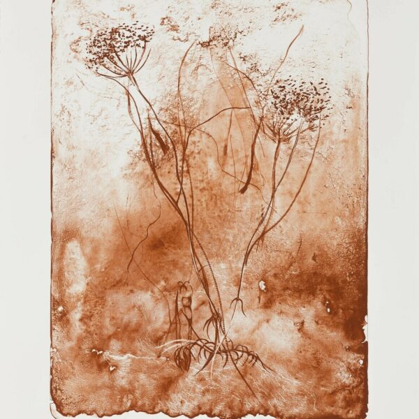 Cathrine-Raben-Davidsen-Hemlock-Seed-(Siena)-75x58cm