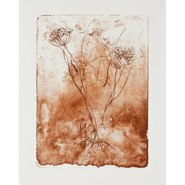 sqCathrine-Raben-Davidsen-Hemlock-Seed-(Siena)-75x58cm